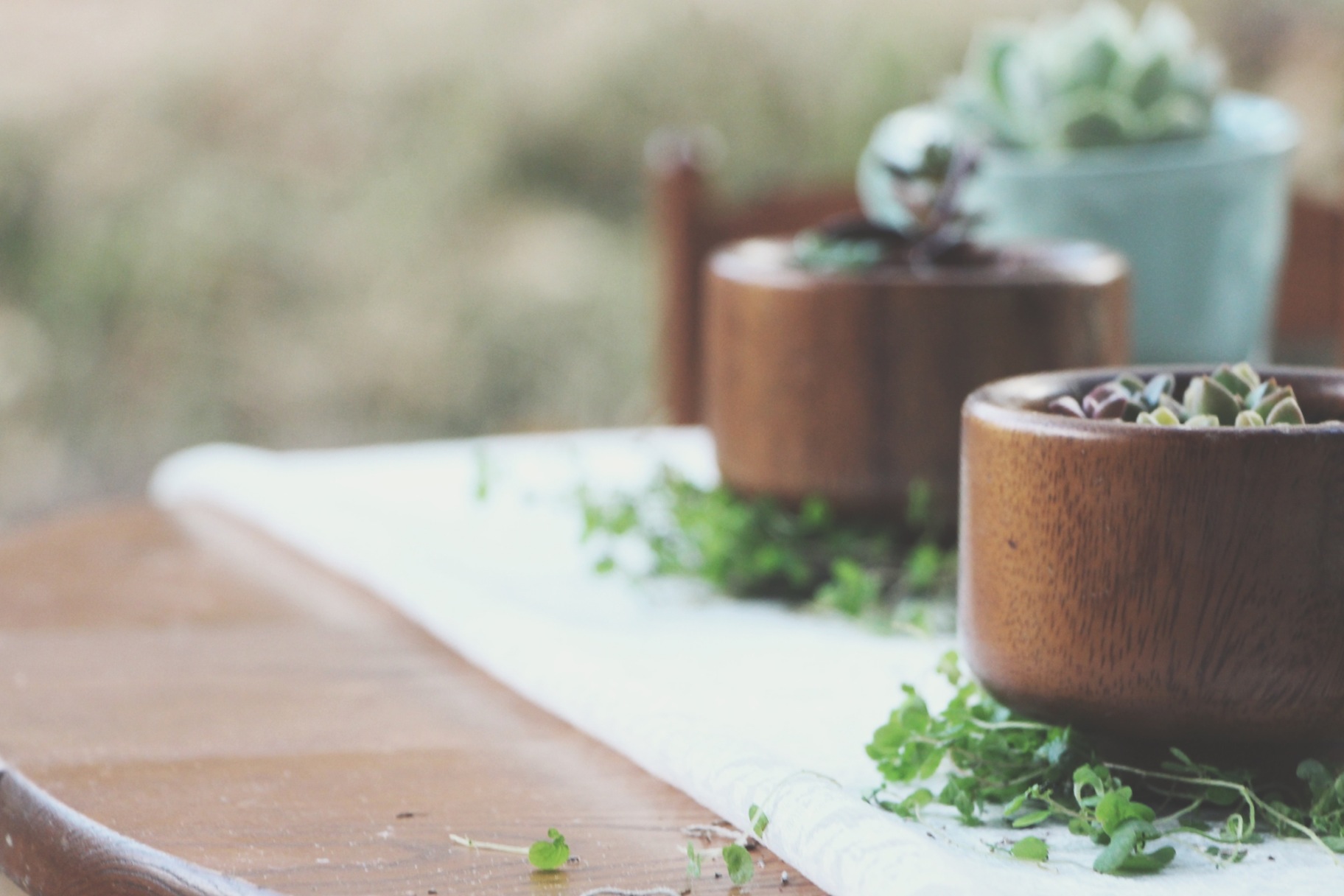 A Succulent Tea Party via Needles + Leaves :: we styled this photo shoot with succulents in a teapot, teacups, mason jars, a bell jar, and terra cotta pots. :: flowers, roses, daisies, babies breath::&nbsp;vintage inspired owl, reused, repurposed, s…
